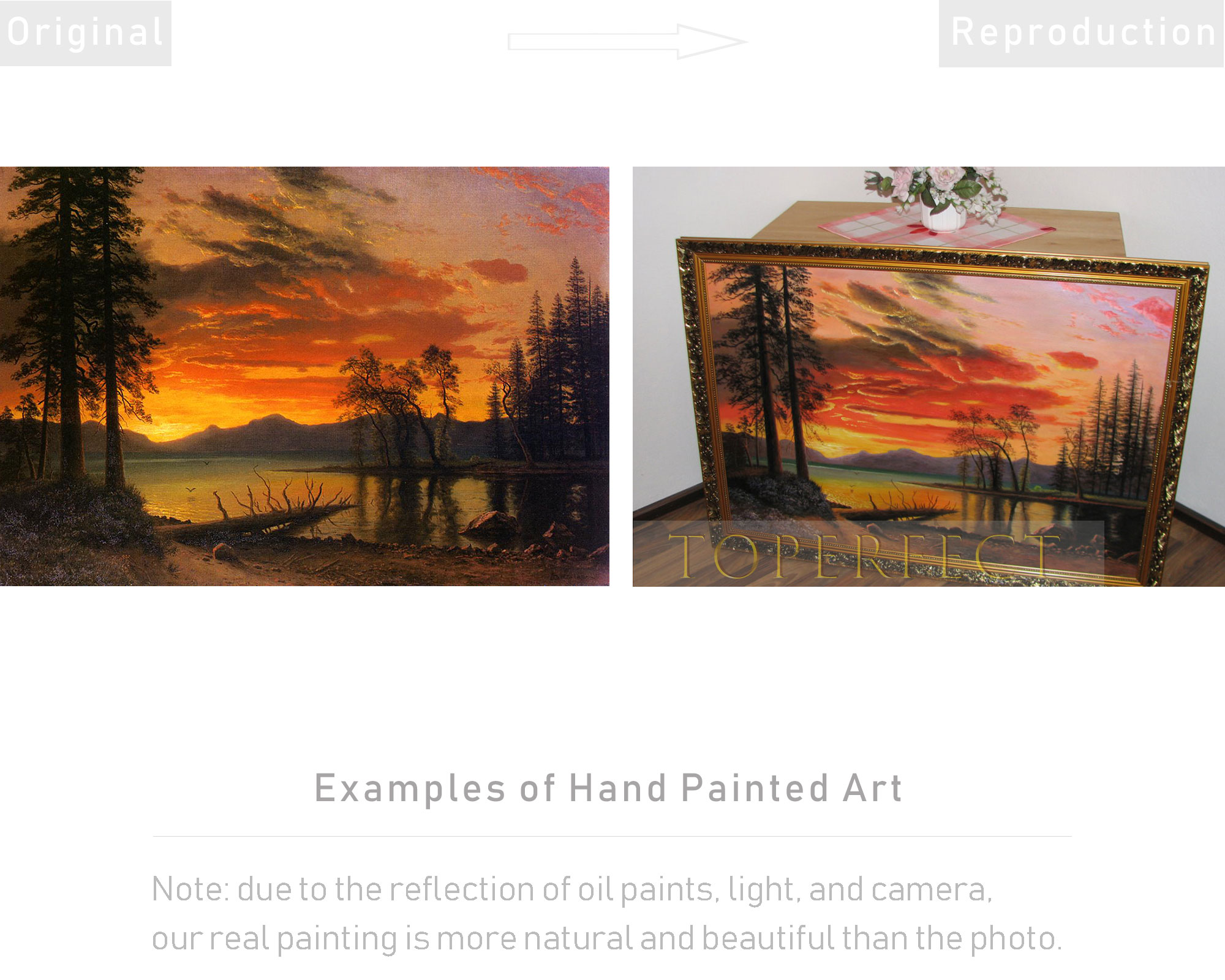 Examples of High Quality 02 Oil Paintings